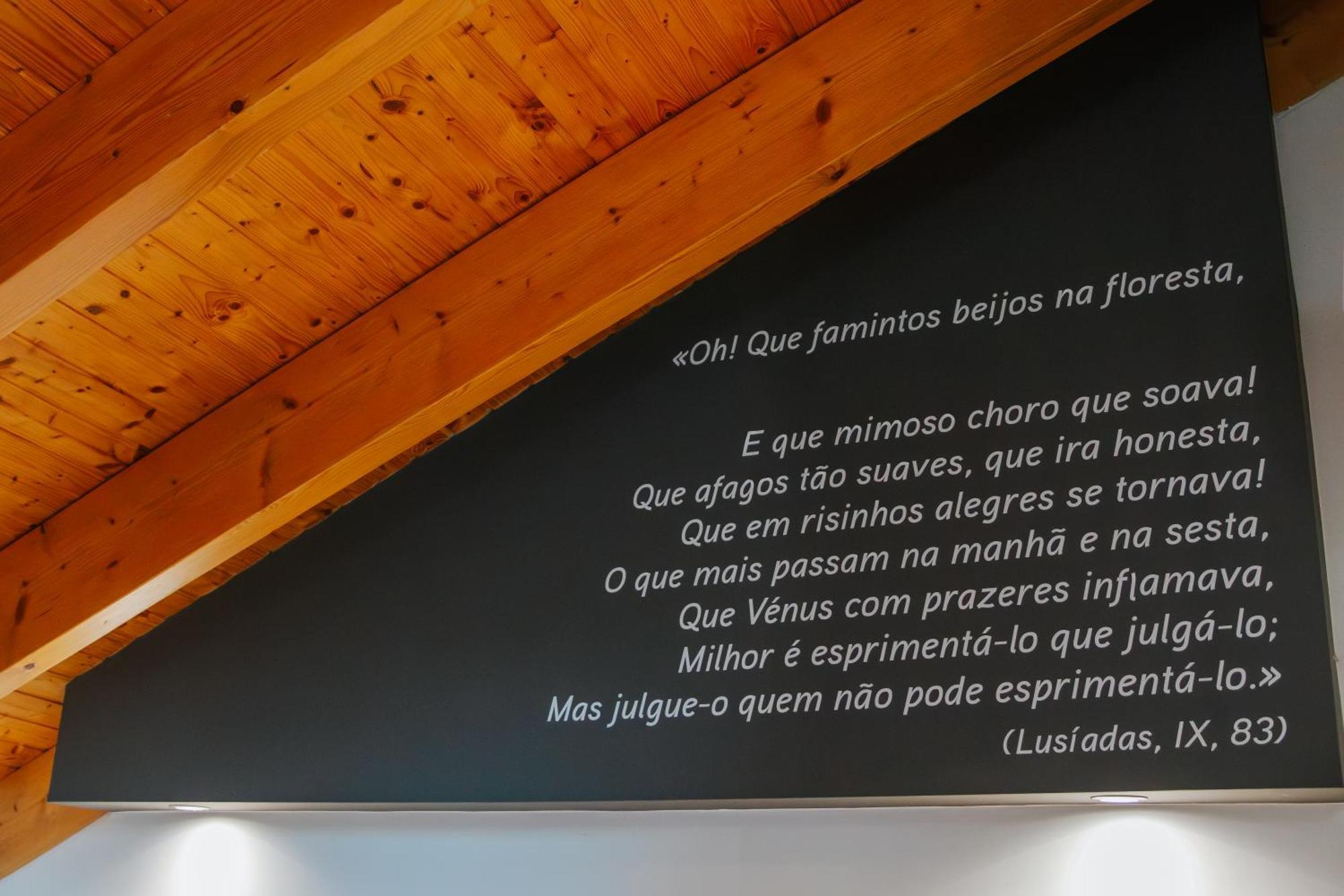Casa Luís de Camões - Boutique&Literary House Santar Exterior foto